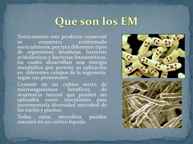 MICROORGANISMOS EFICIENTES