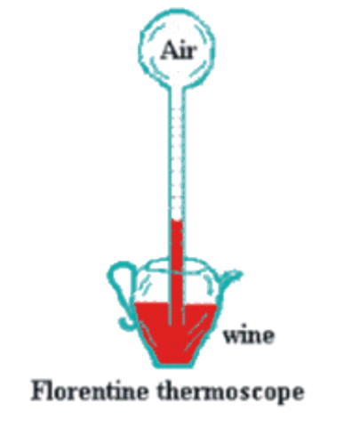 El primero termómetro sellado fue diseñado en 1641 para el Gran Duque de Toscana: utilizaba alcohol  y tenía marcas de grados. Sin embargo, todavía era inexacto y no utilizaba ninguna escala estandarizada.