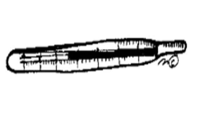 Fahrenheit inventó el termómetro de alcohol
