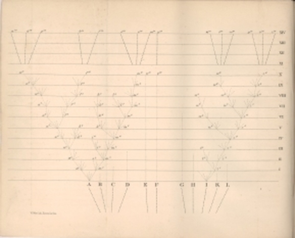 On the Origins of Species by Means of Natural Selection.