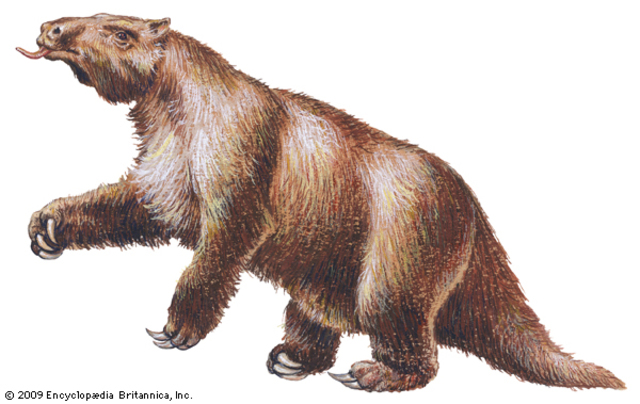 Megatherium