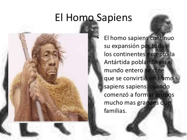 Homo Sapiens