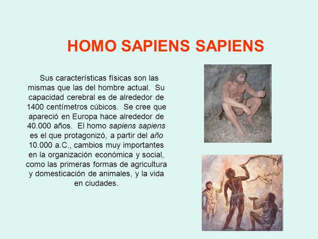 Homo Sapiens Sapiens