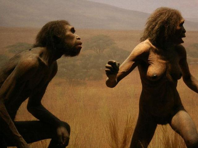 Referencias Bibliograficas