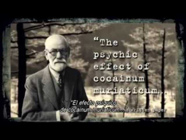 La Estafa Y El Fraude De La Psiquiatría Y La Psicología