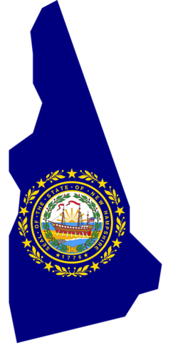 Timothy W v. Rochester, NH School District