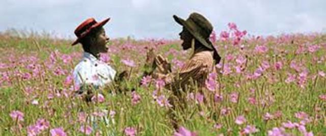 Steven Spielberg directed The Color Purple