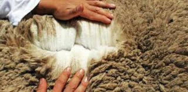 Fin de la Ganaderia.