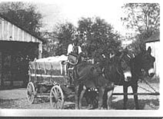 The railroad arrives in Florida