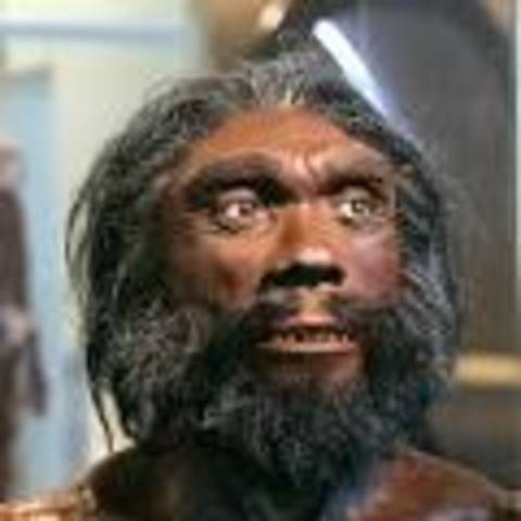 Homo heidelbergensis