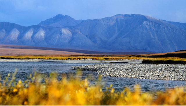 US House Prevents Drilling for Oil in the Arctic National Wildlife Refuge