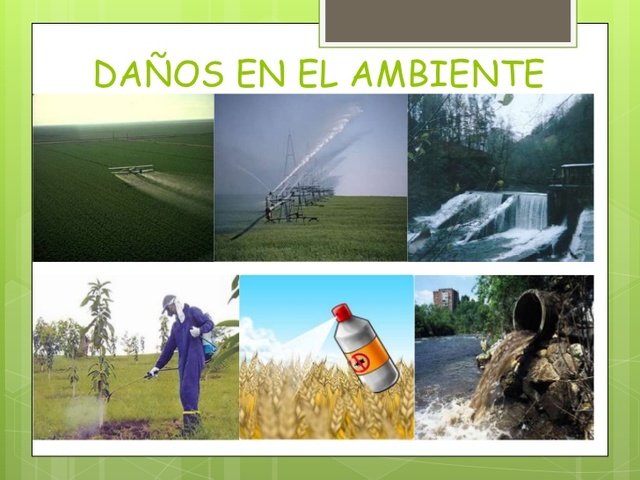 El BM lanza la Revolución Verde