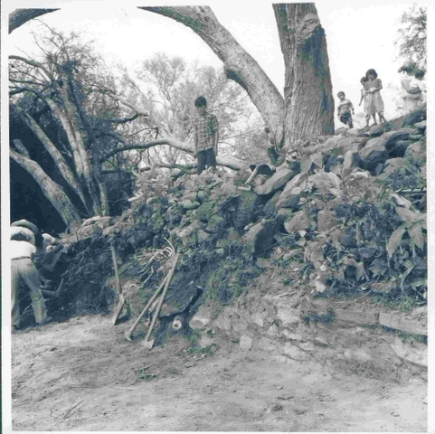 DESCRIPCIÓN DE TEQUALTICHE POR HERNANDO DE GALLEGOS