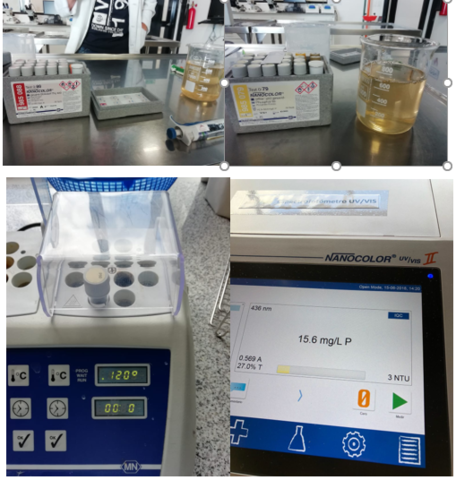 Nitrogeno total/Fosforo total