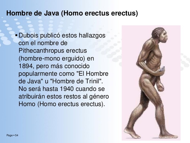 Hombre de Java