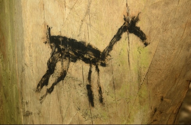 "What should we call it?"