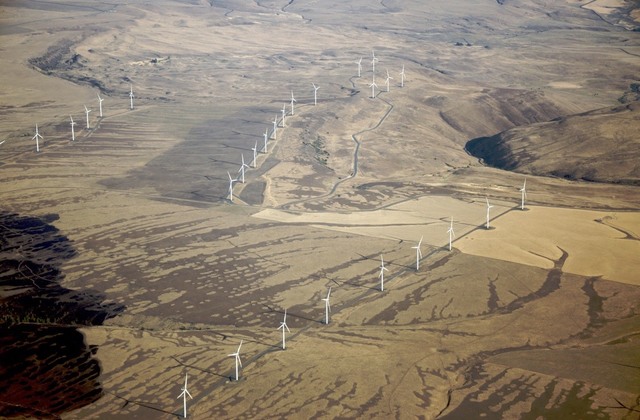 Wow, it sure is windy today