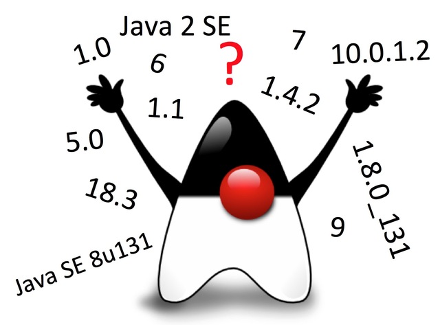 JAVA SE 10