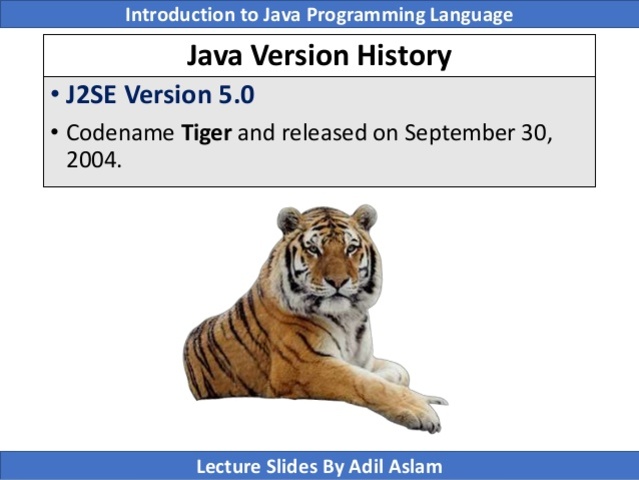 JAVA SE 5 TIGER