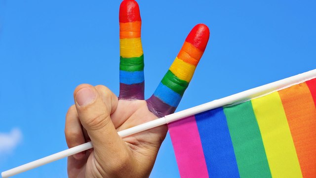 EL DÍA INTERNACIONAL DEL ORGULLO LGBT+ (LESBIANA, GAY, BISEXUAL Y TRANSEXUAL)