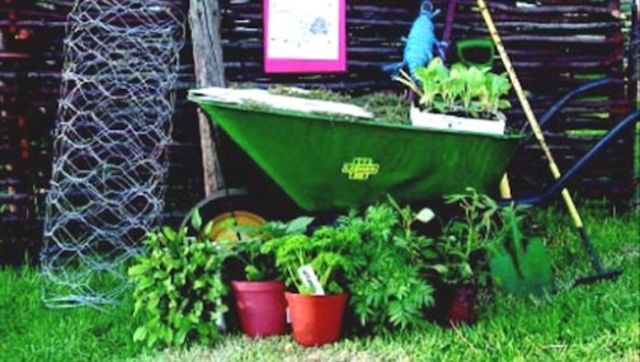 Build supply list and ask for donations