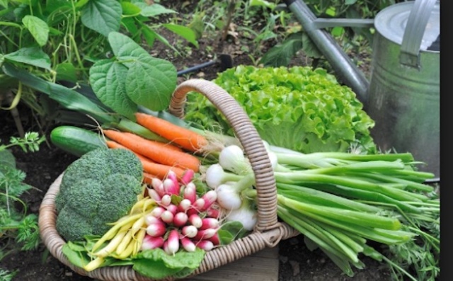 Harvest Crops to be delivered