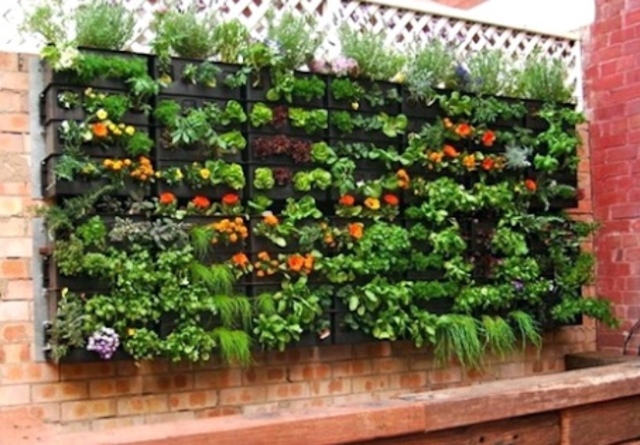 Plan for more advanced planning methods the following year to utilize space