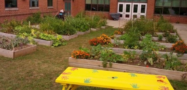 Garden is built and is in full bloom