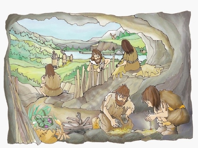 Inicio de la educación