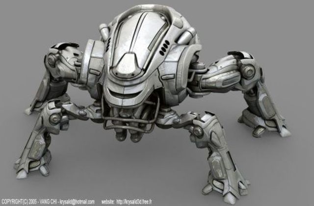 1995 el año decisivo