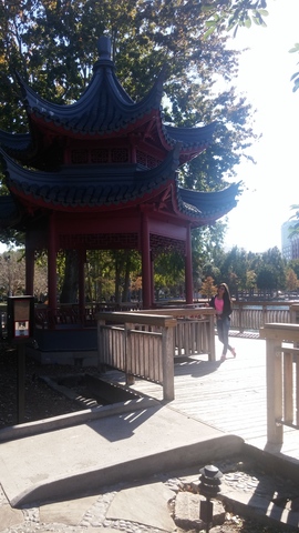 CUALES SON TUS GUSTOS