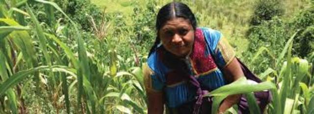 Dia internacional de  las mujeres rurales