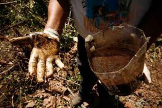 Qué logros en materia de derechos se destacan en el año 2017