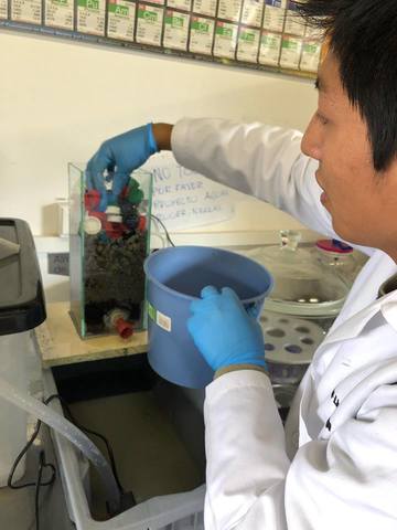 Pruebas de Recirculación ,aireación y funcionamiento del biofltro