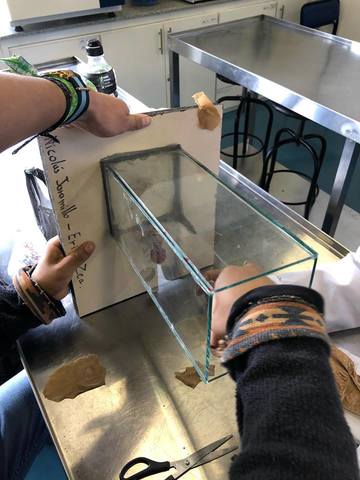 Ajustes para el biofltro