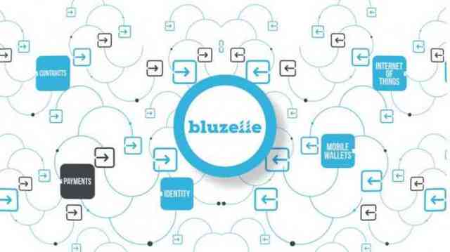 Криптовалюта Bluzelle