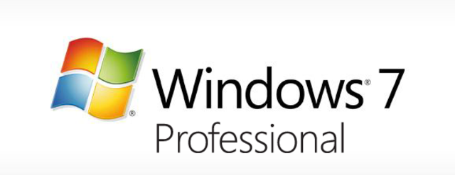 windows professional