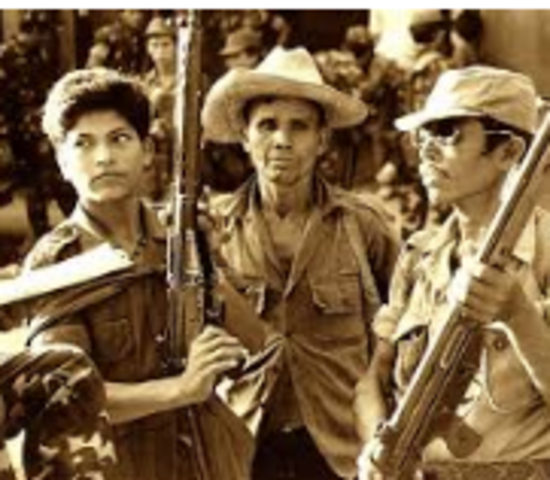 AUTODEFENSAS CAMPESINAS