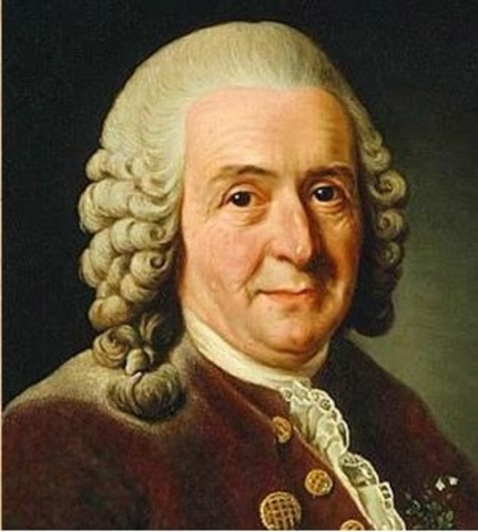 CARL VON LINNE