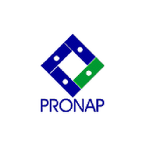 Programa Nacional para la Actualización Permanente de los Maestros de Educación Básica en Servicio (PRONAP)