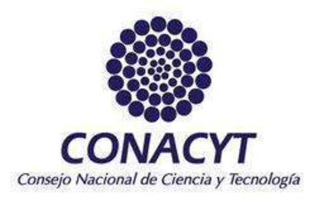 Consejo Nacional de Ciencia y Tecnología