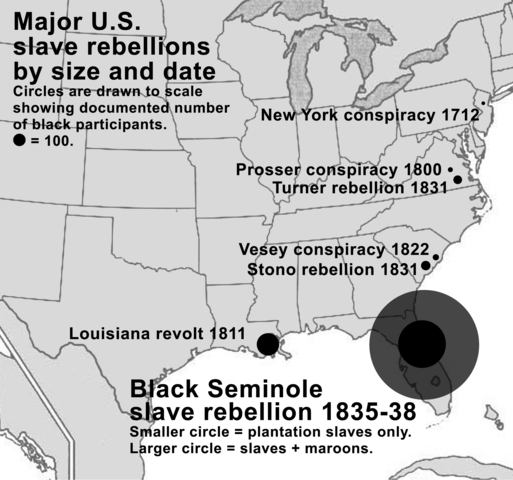 The Institution of the Slave Codes