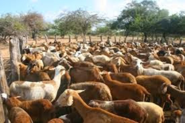 mejora la economia despues de un gran periodo de guerra- adoslescencia