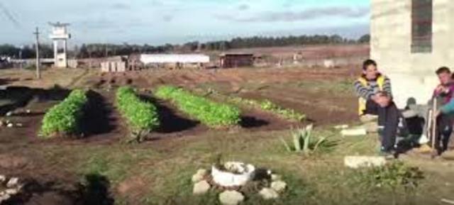 los valores de la comunidad - adolescencia