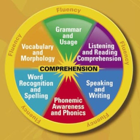 Reading Intervention (personal)