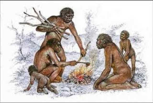 Comunidad Primitiva.