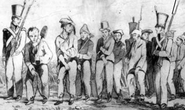 Matra made decisions that convicts should be used as settlers