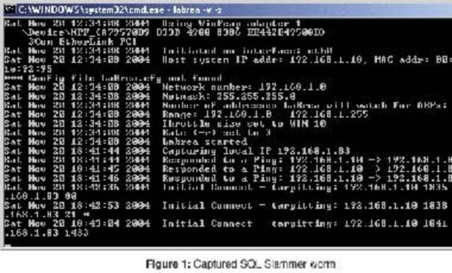 SQL Slammer/Zafiro, el más rápido de la historia: