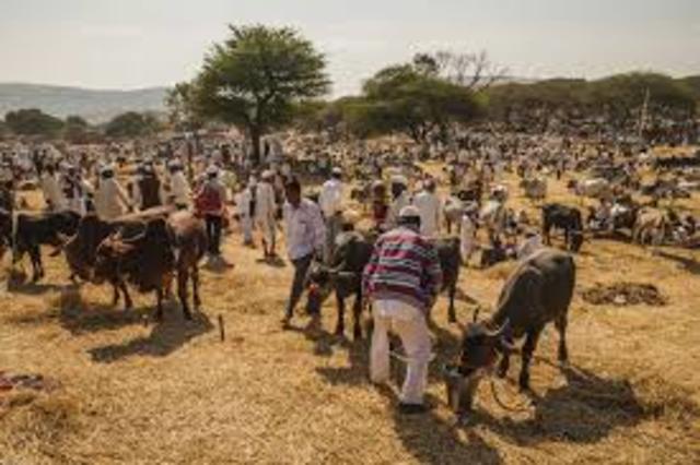 India.  El Banco da 451 millones de dólares para las represas del Alto Krishna