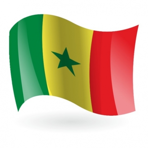 Senegal.  En diciembre, reuniones panafricana y mundial sobre la deuda del Tercer Mundo, coorganizadas por el CADTM, CONGAD (coalición de ONGs senegalesas) y por Jubileo Sur.